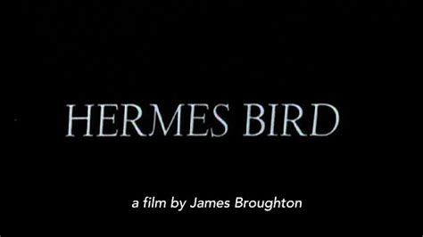 hermes bird 1979 short film|Hermes Bird .